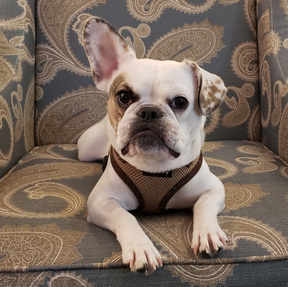 Quantity&Quality - Picture 3 of 8